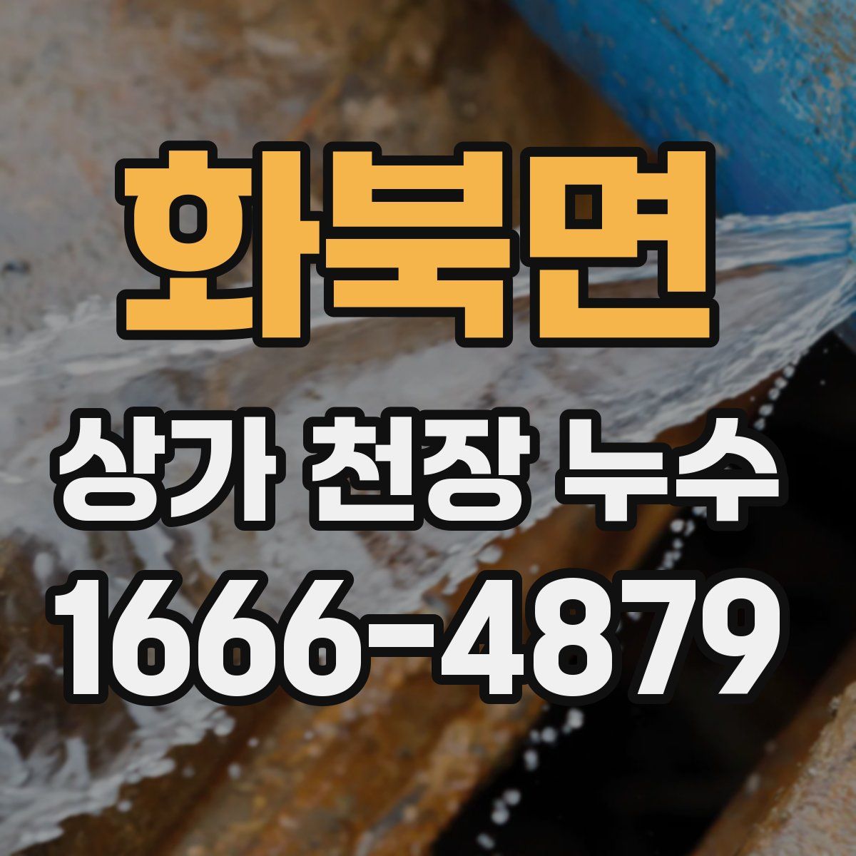 화북면 상가 천장 누수
