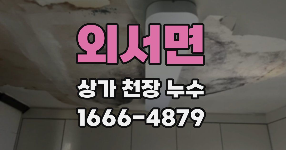 외서면 상가 천장 누수