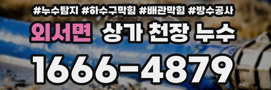 외서면 상가 천장 누수