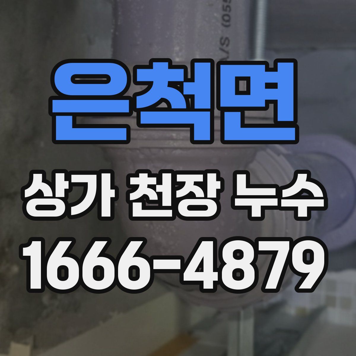 은척면 상가 천장 누수