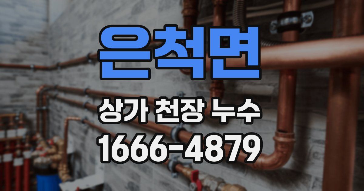 은척면 상가 천장 누수