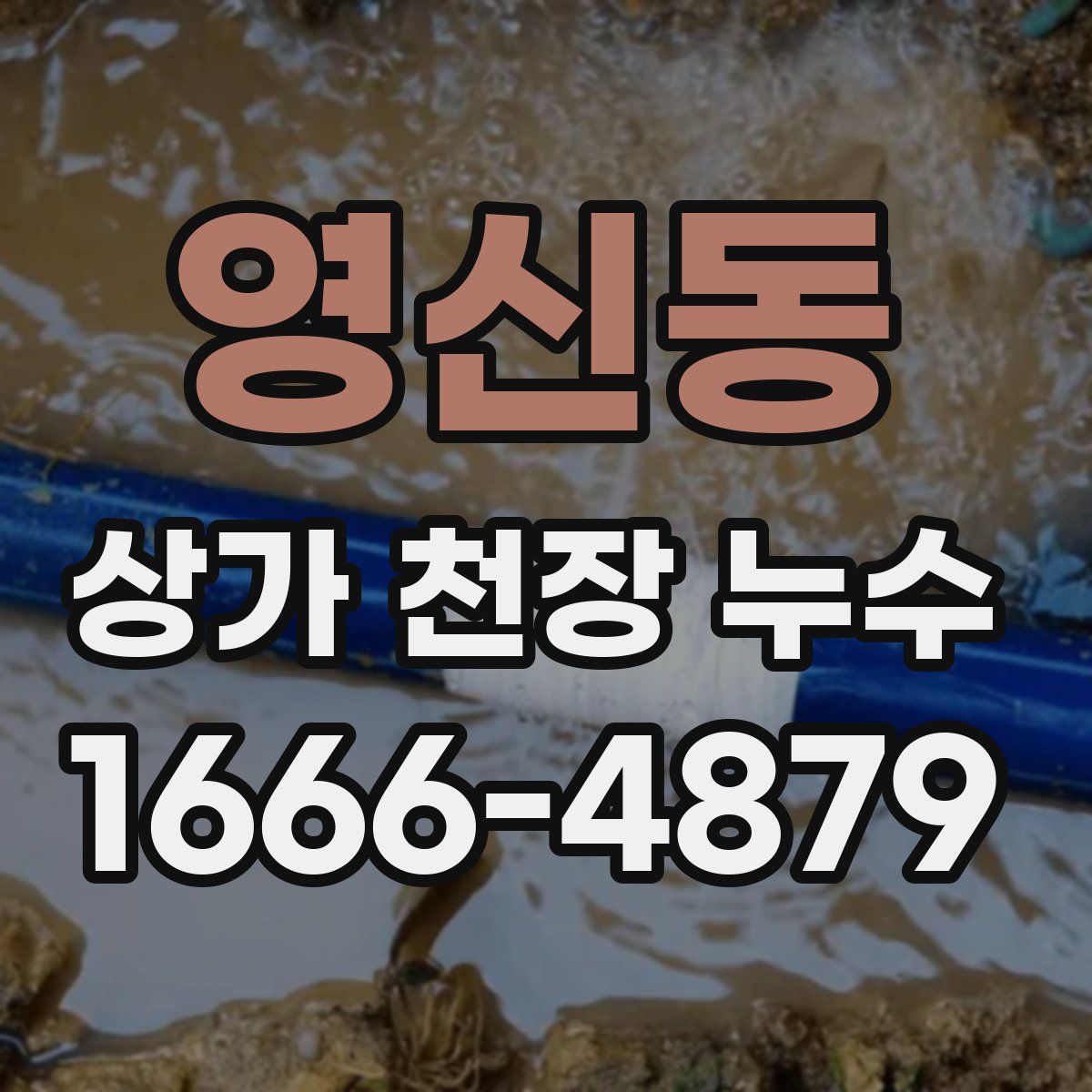 영신동 상가 천장 누수