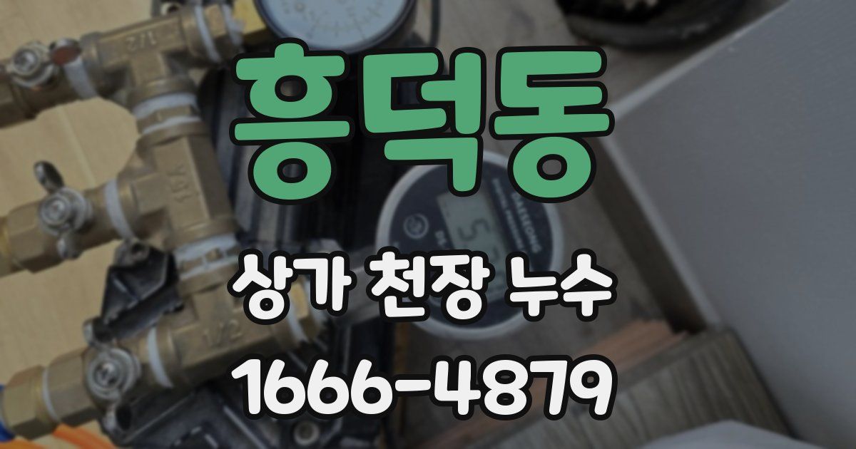 흥덕동 상가 천장 누수