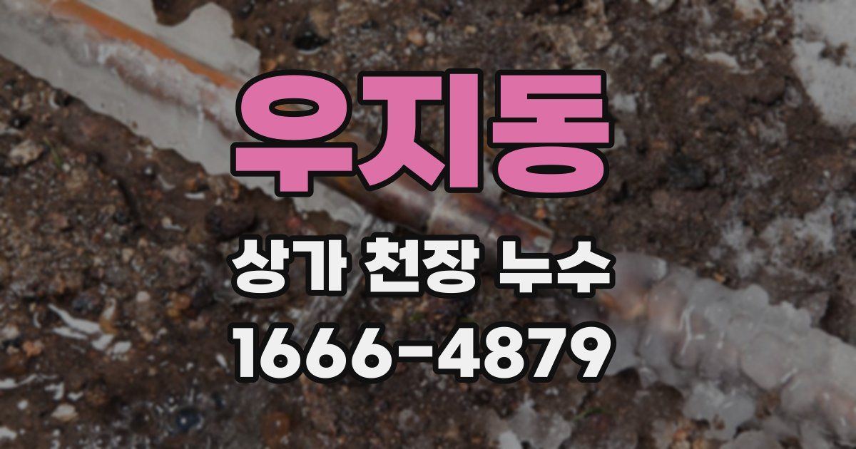 우지동 상가 천장 누수