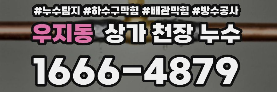 우지동 상가 천장 누수