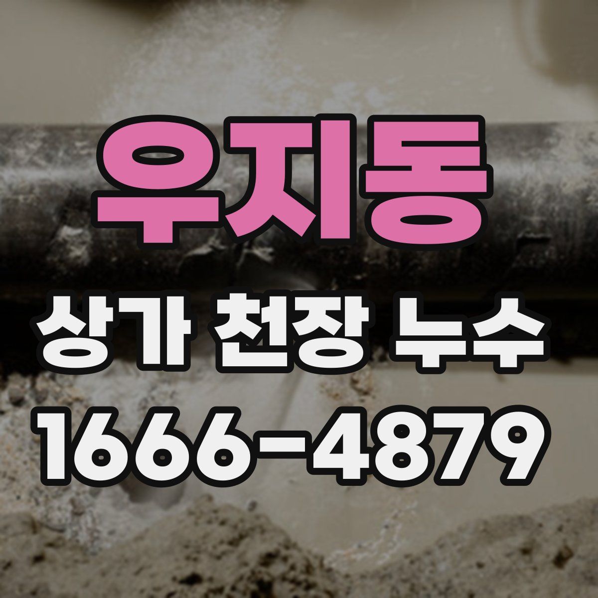 우지동 상가 천장 누수