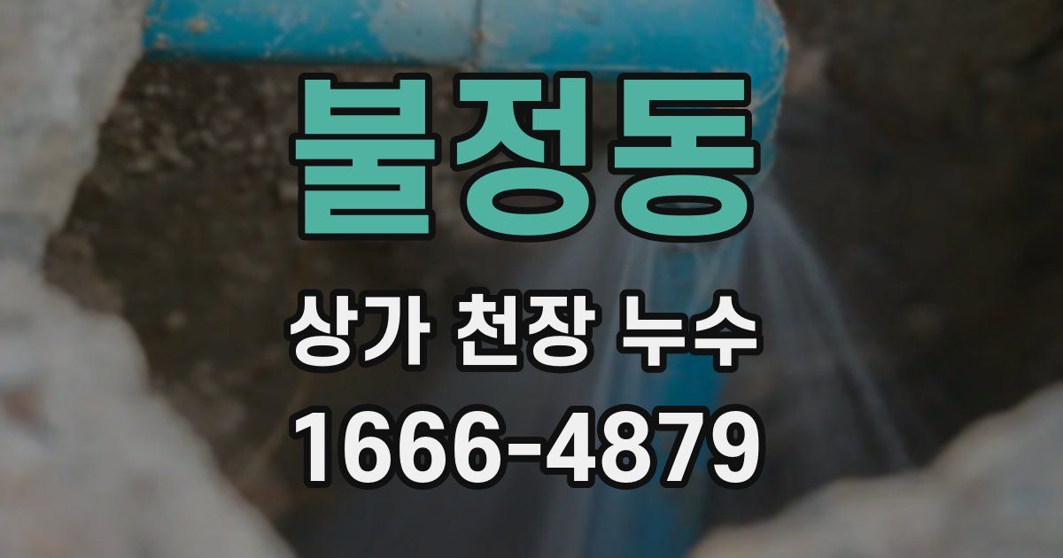 불정동 상가 천장 누수