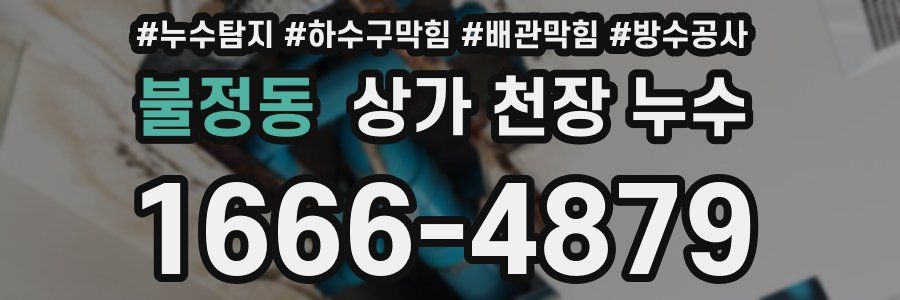 불정동 상가 천장 누수