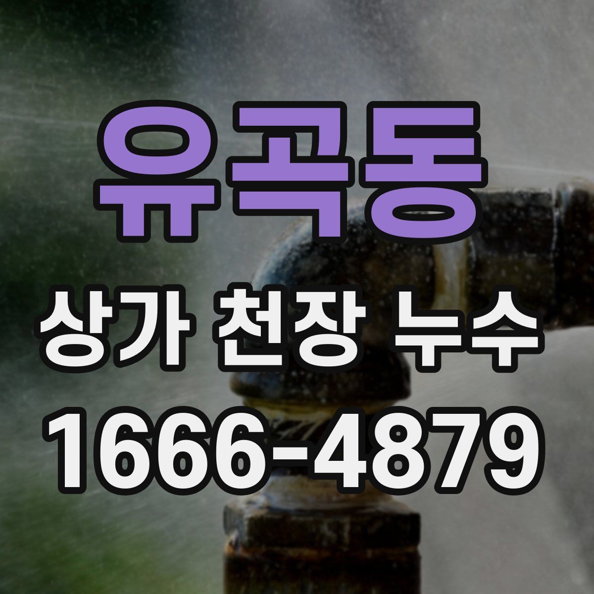 유곡동 상가 천장 누수