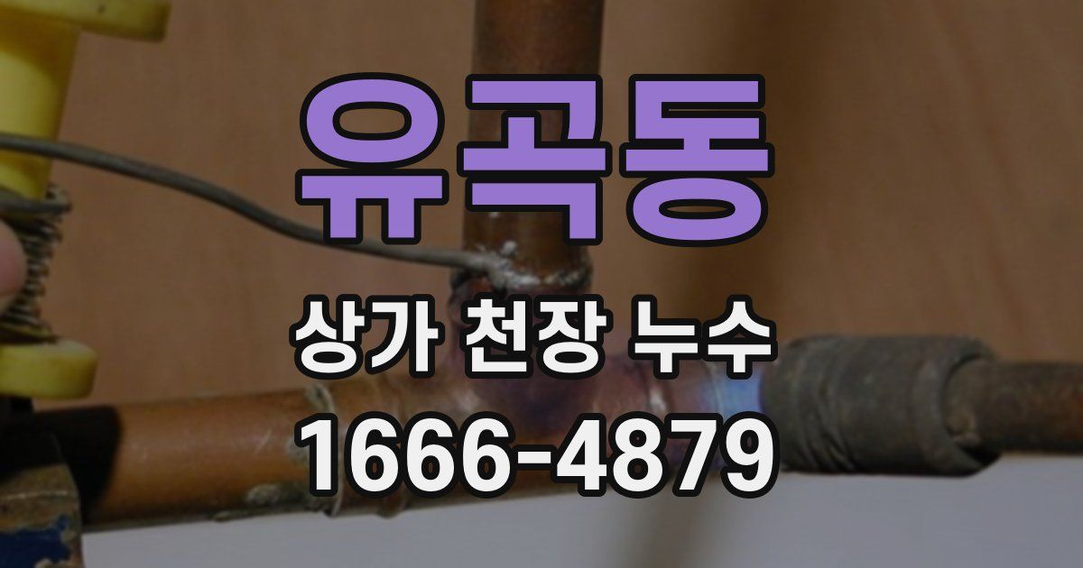 유곡동 상가 천장 누수