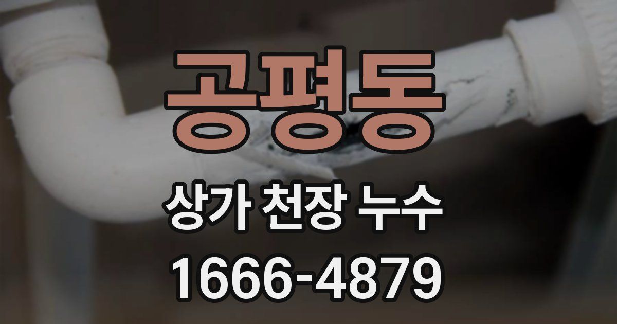 공평동 상가 천장 누수