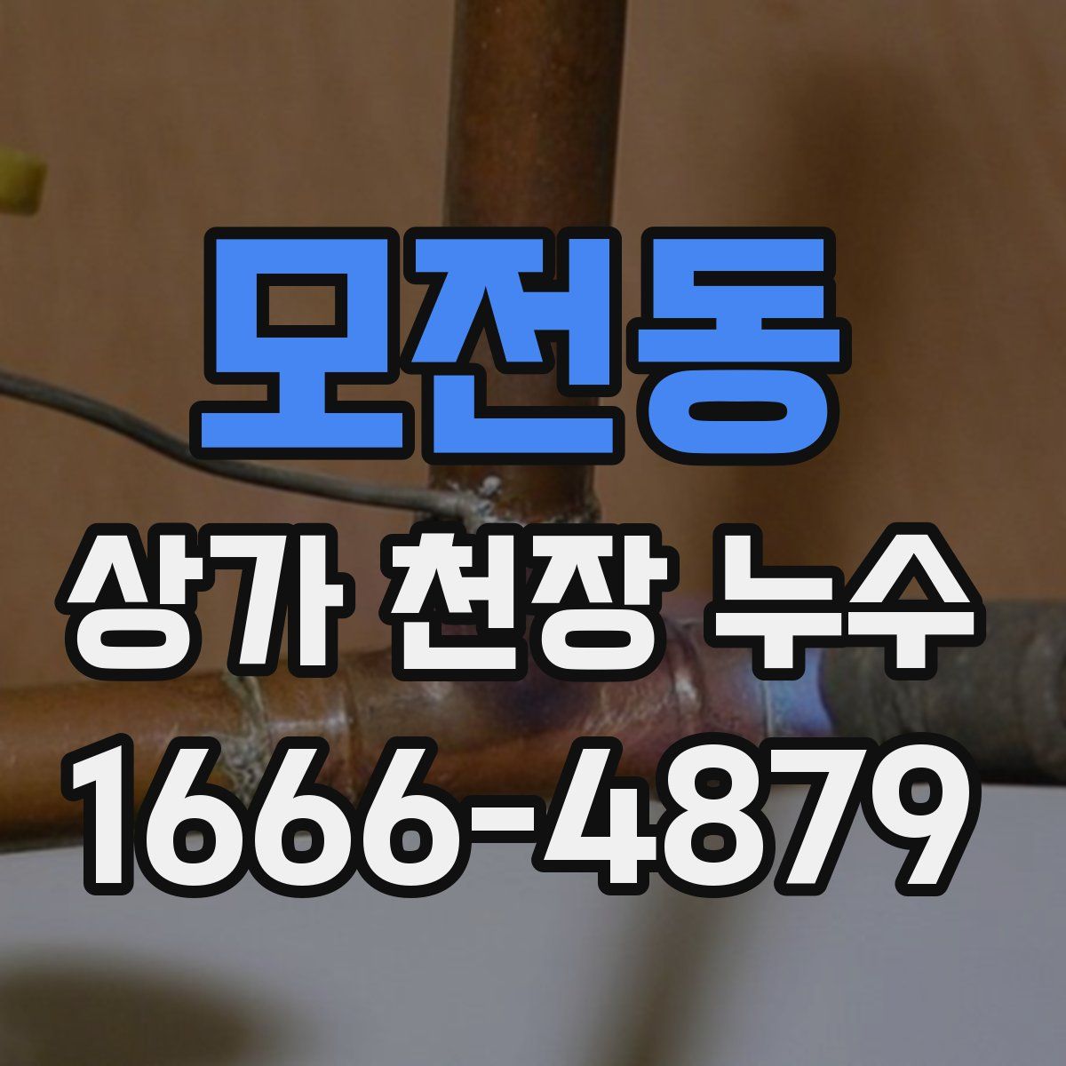 모전동 상가 천장 누수