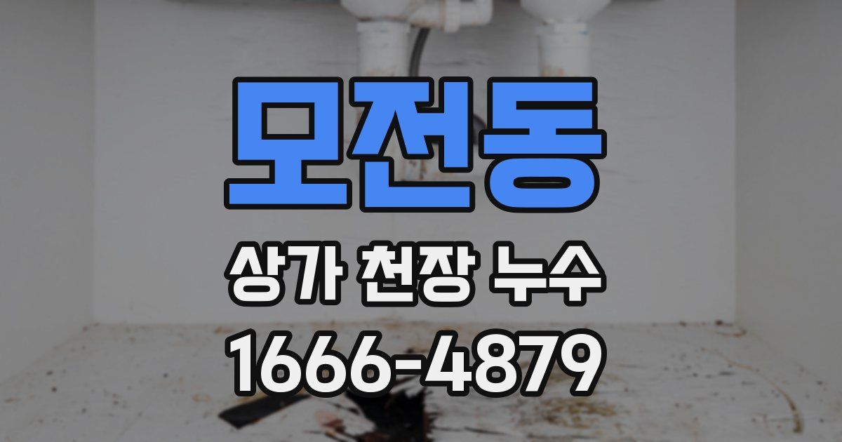 모전동 상가 천장 누수