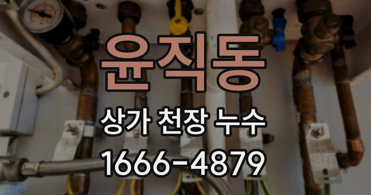 윤직동 상가 천장 누수
