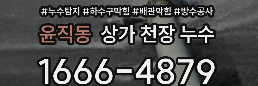 윤직동 상가 천장 누수