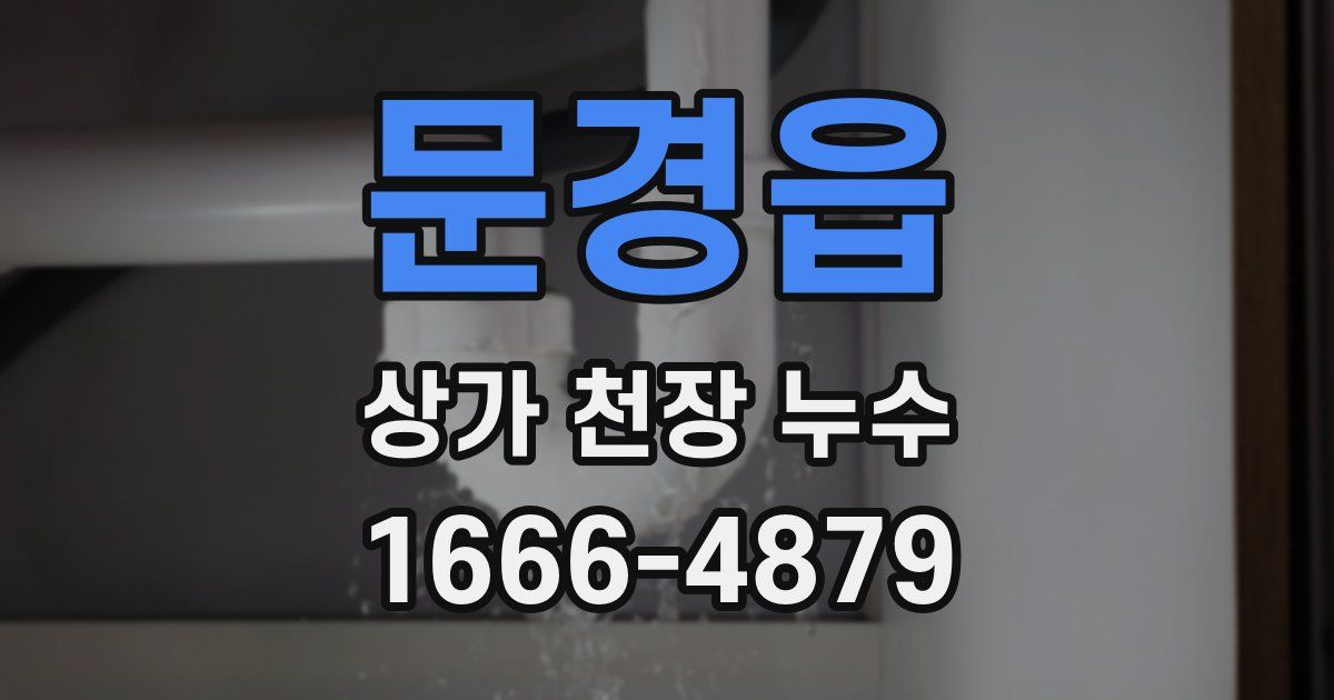 문경읍 상가 천장 누수
