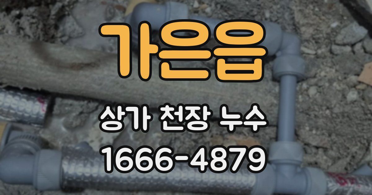 가은읍 상가 천장 누수