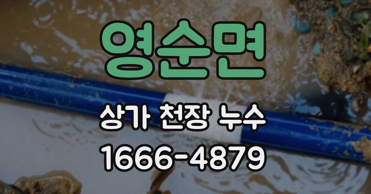 영순면 상가 천장 누수