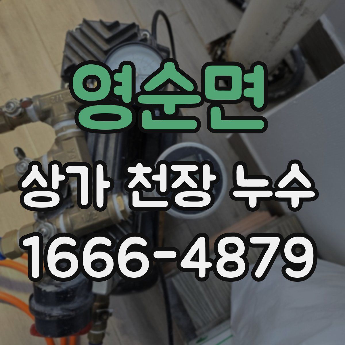 영순면 상가 천장 누수