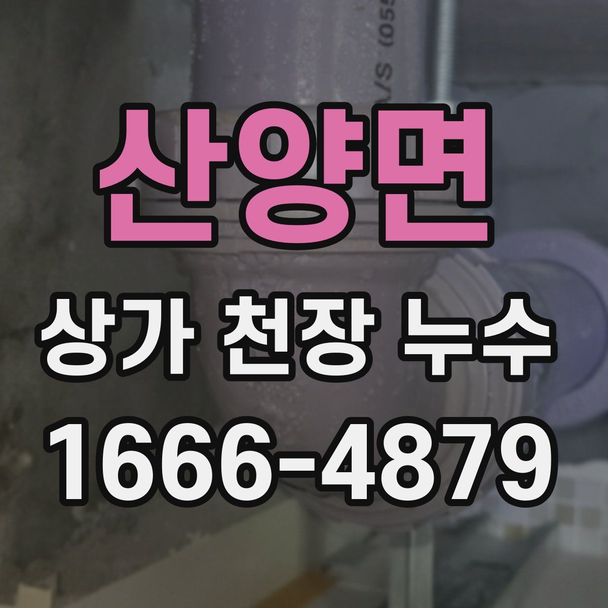 산양면 상가 천장 누수