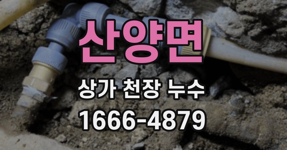 산양면 상가 천장 누수