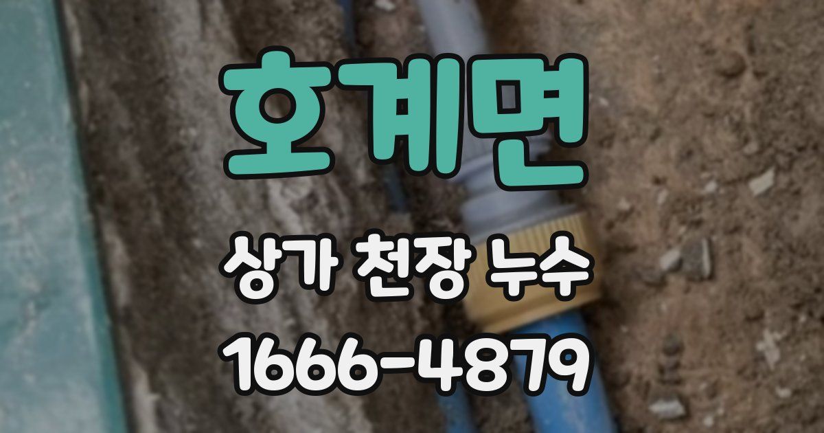 호계면 상가 천장 누수