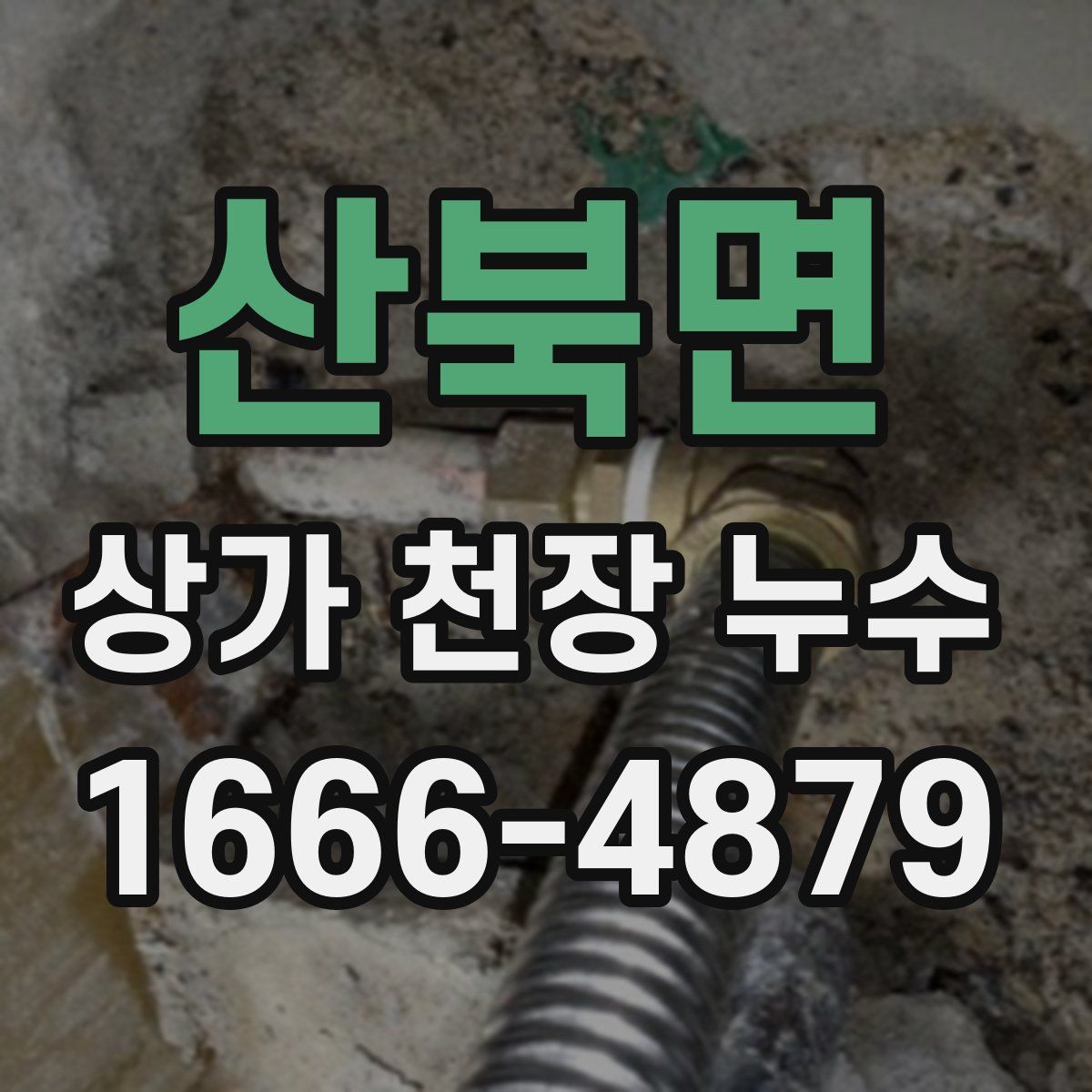 산북면 상가 천장 누수