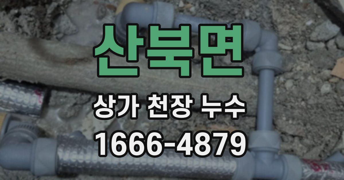 산북면 상가 천장 누수
