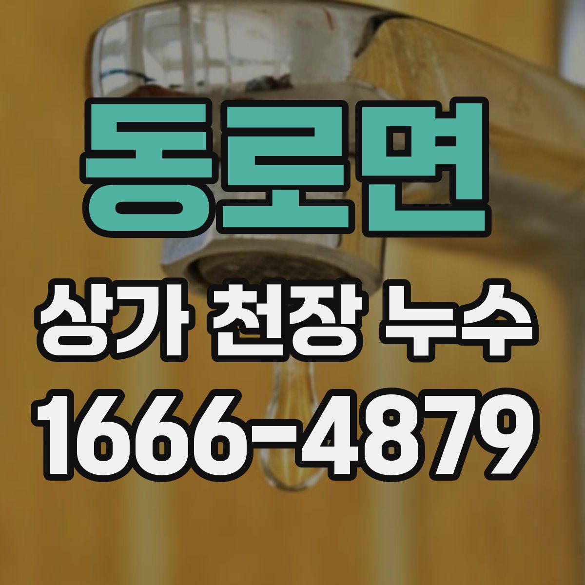 동로면 상가 천장 누수