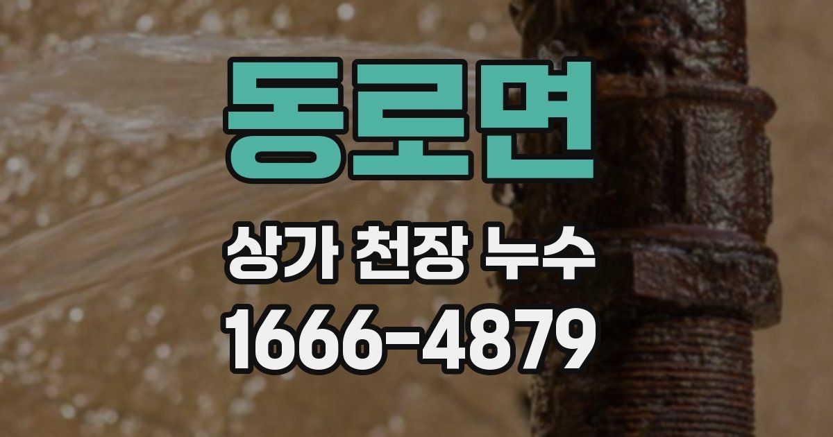 동로면 상가 천장 누수