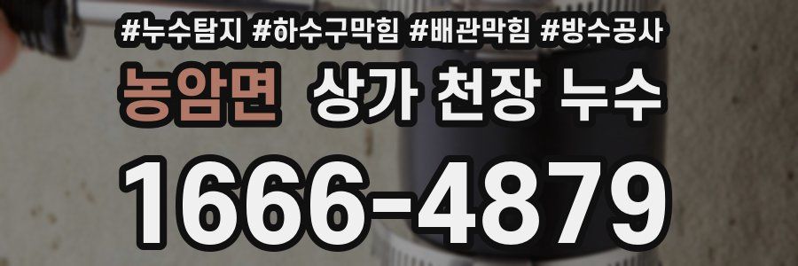 농암면 상가 천장 누수