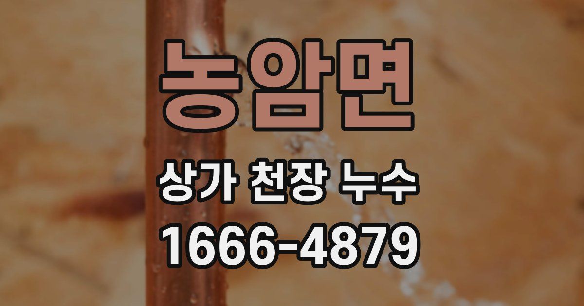 농암면 상가 천장 누수
