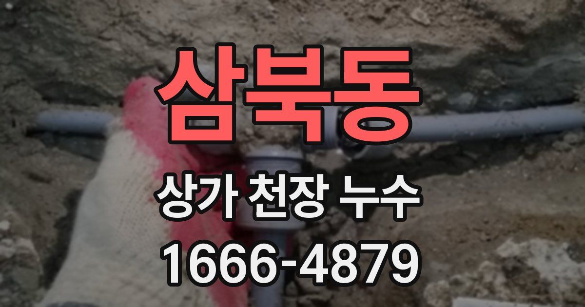 삼북동 상가 천장 누수