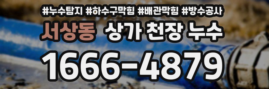 서상동 상가 천장 누수