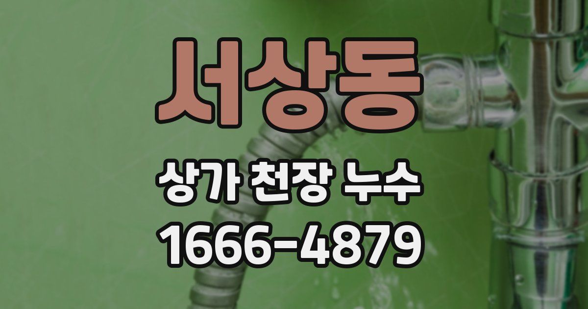 서상동 상가 천장 누수