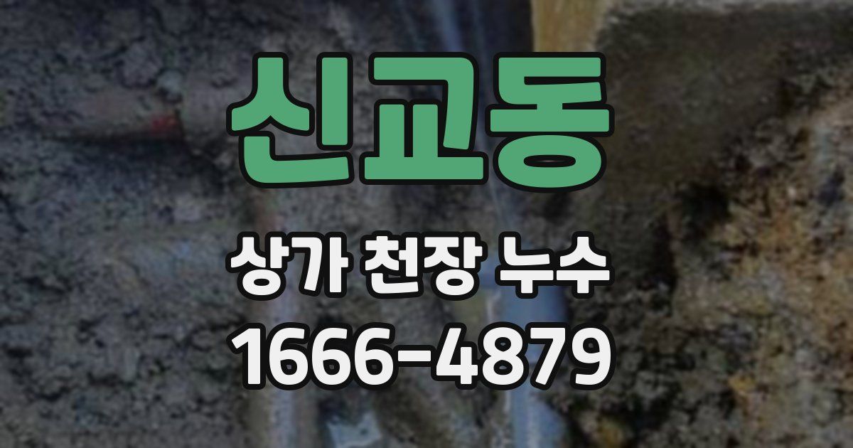신교동 상가 천장 누수
