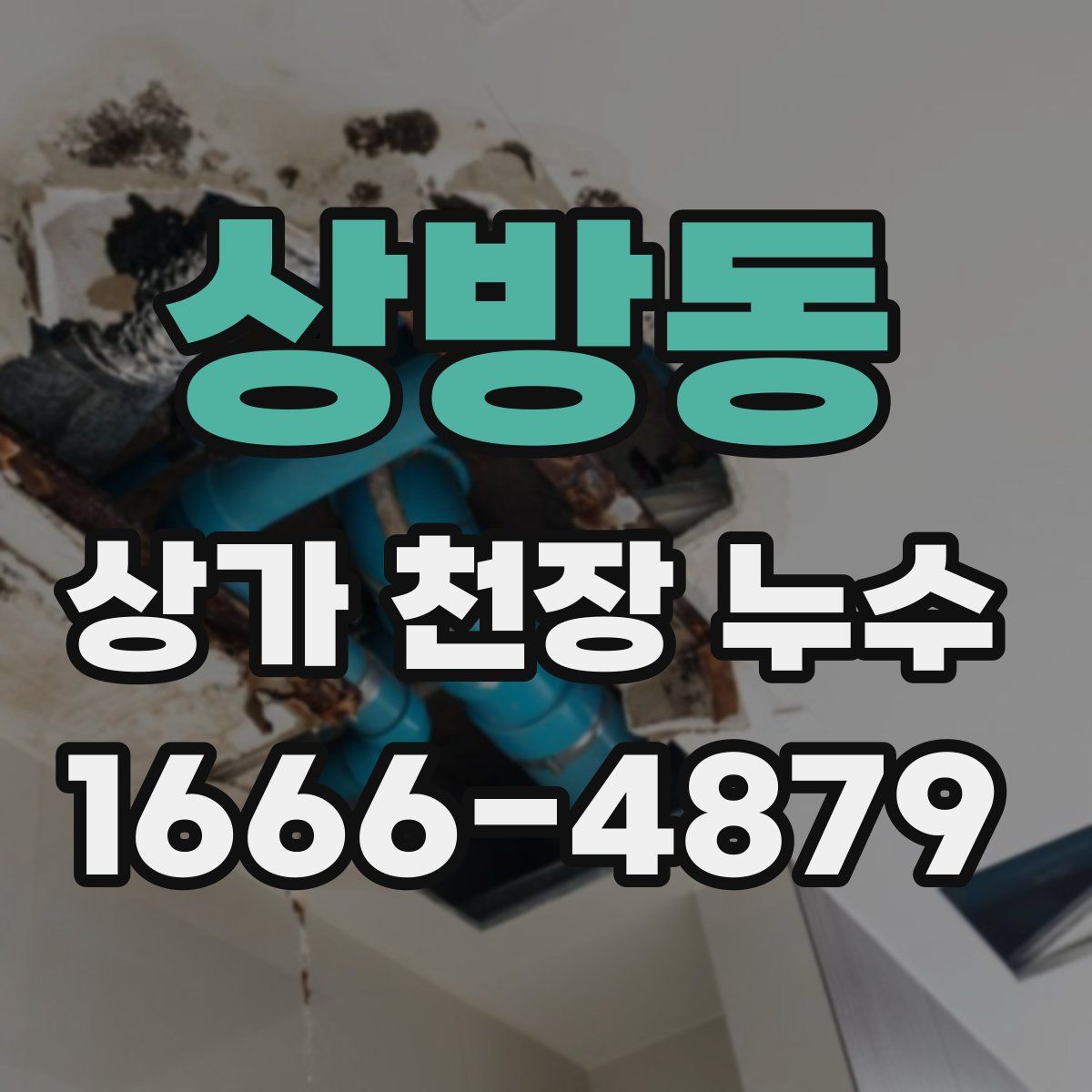 상방동 상가 천장 누수