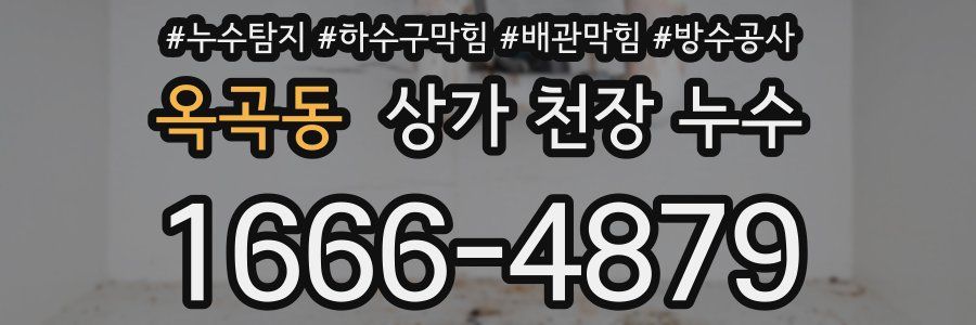 옥곡동 상가 천장 누수