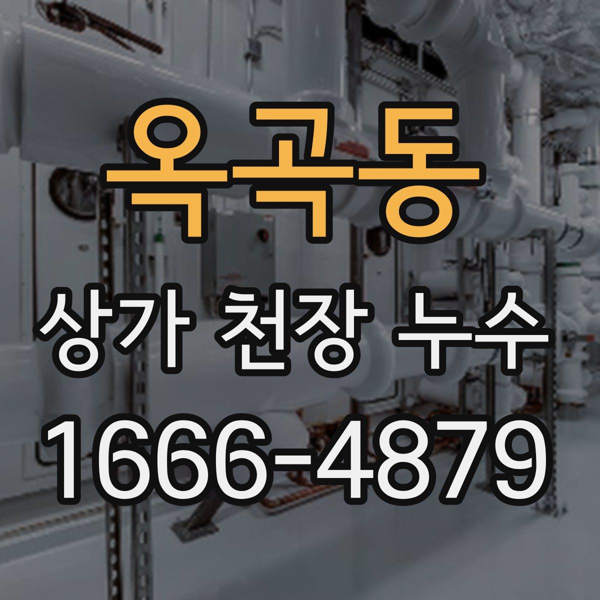 옥곡동 상가 천장 누수