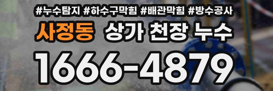 사정동 상가 천장 누수