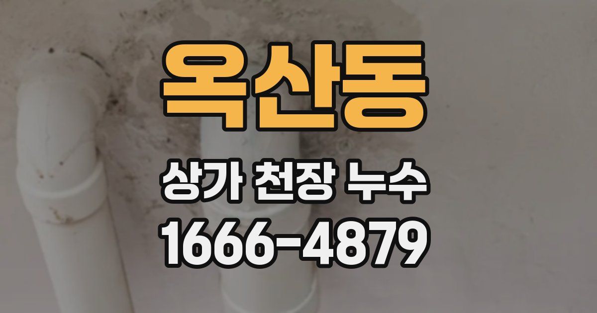 옥산동 상가 천장 누수