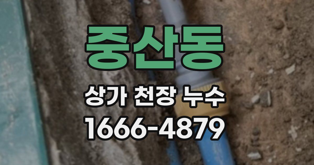 중산동 상가 천장 누수