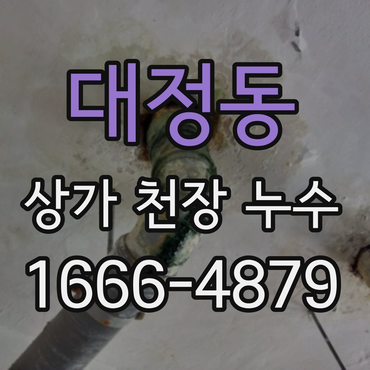 대정동 상가 천장 누수