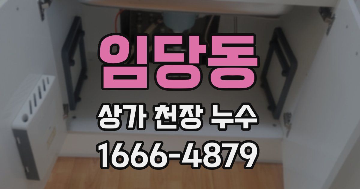 임당동 상가 천장 누수