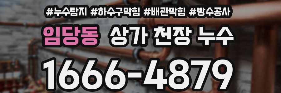 임당동 상가 천장 누수