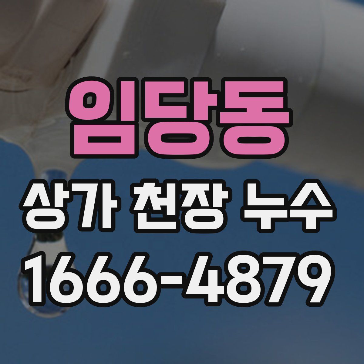 임당동 상가 천장 누수