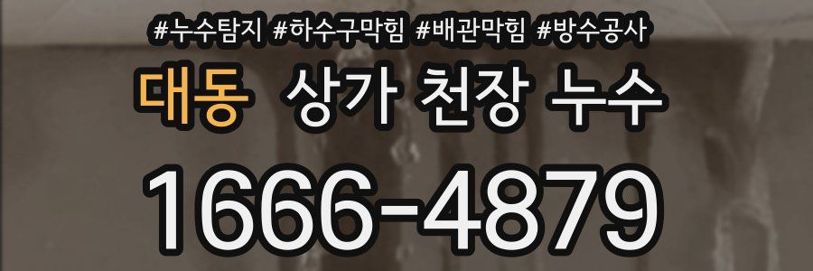 대동 상가 천장 누수