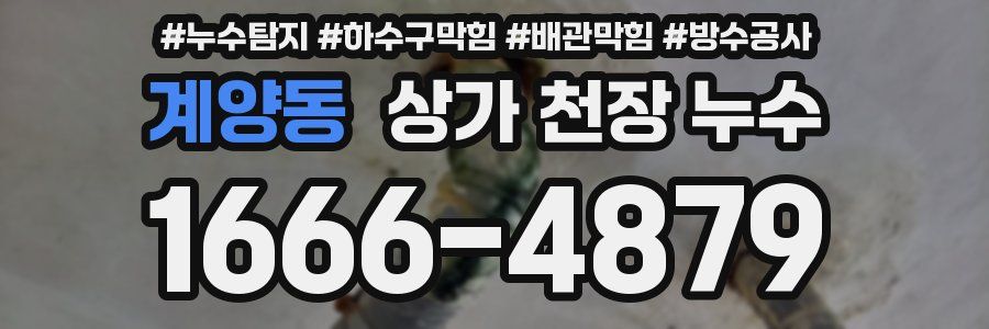 계양동 상가 천장 누수