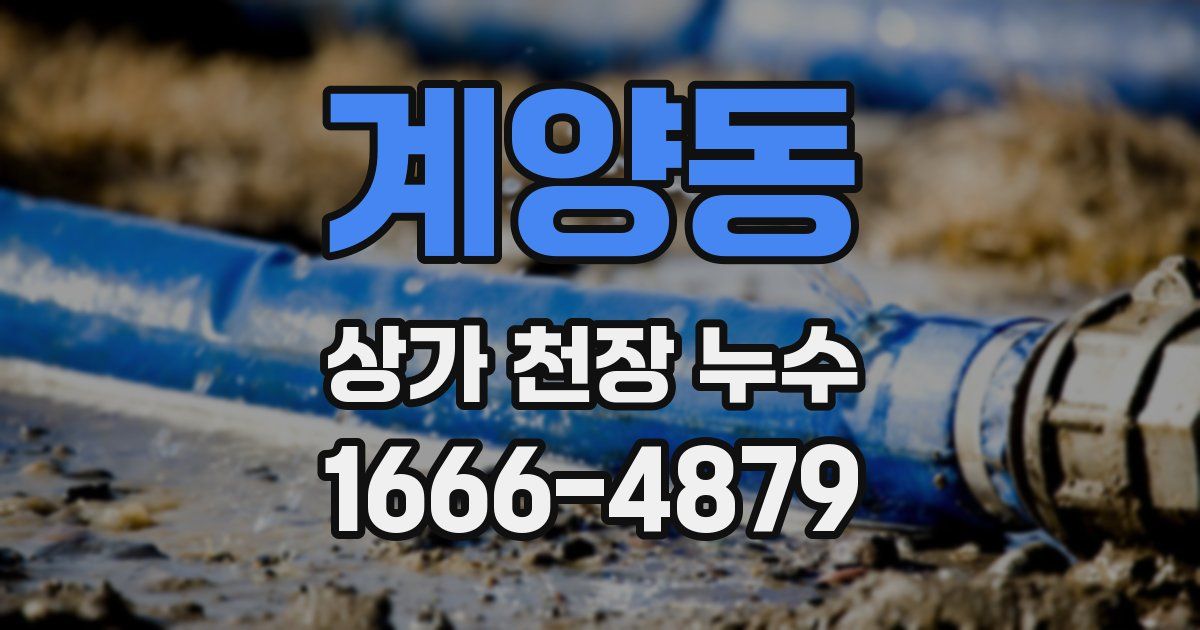 계양동 상가 천장 누수