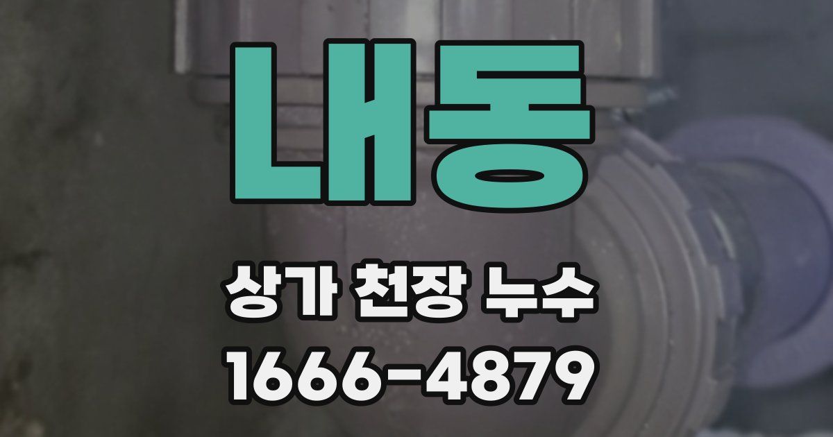 내동 상가 천장 누수